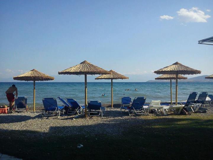 Nafsika Beach Delphi-Itea Dış mekan fotoğraf